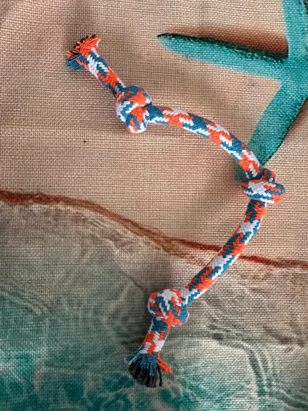 Pet Friendship Bracelet